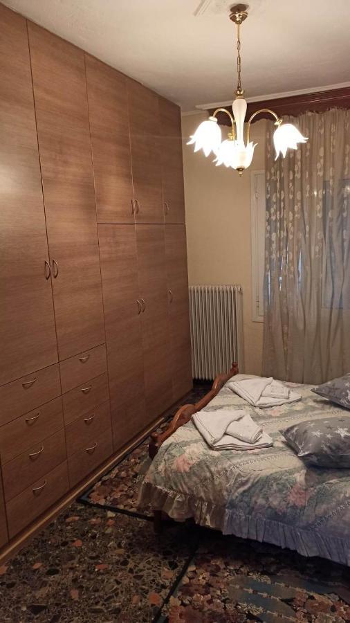 Panourgia'S House Apartment Trikala  Bagian luar foto