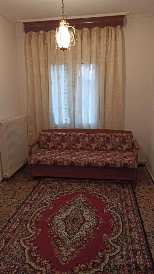 Panourgia'S House Apartment Trikala  Bagian luar foto