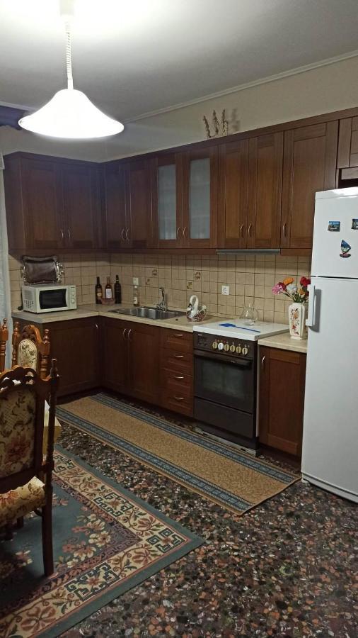 Panourgia'S House Apartment Trikala  Bagian luar foto