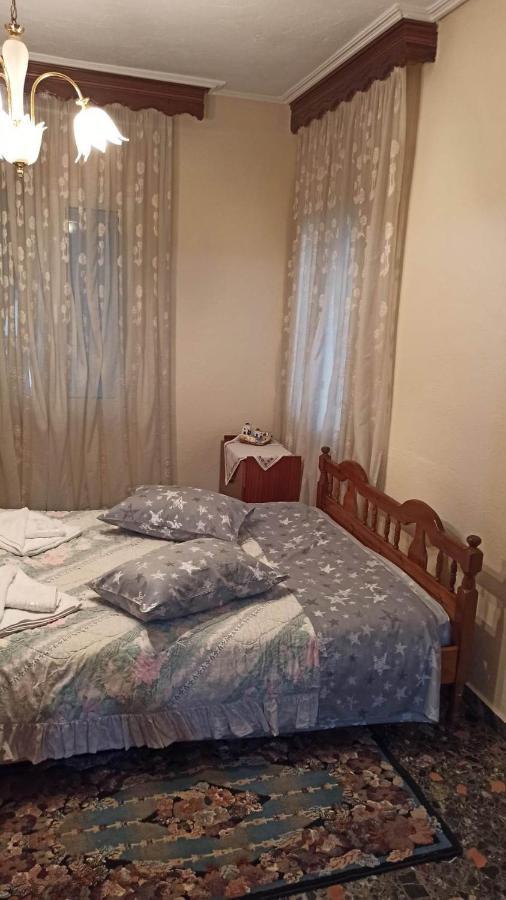 Panourgia'S House Apartment Trikala  Bagian luar foto